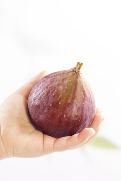 Fresh Red Fig Fruit in Hands - Natural Organic Produce with Skin Texture