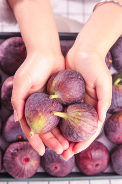 Fresh Purple Figs in Hands Above Wooden Crate - Organic Fruit Harvest Concept