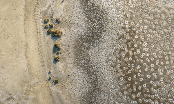 Aerial view of abstract salt crust transition and mineral textures with circular patterns and sparse vegetation France.