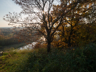 Fototapeta premium River Bug Valley Podlasie Poland