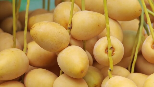 multiple Fresh date fruits  close-up