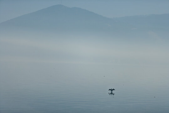 Aerial view of a cormorant perched on a post in the calm, misty waters of the Danube River within Djerdap National Park, Donji Milanovac, Bor District, Serbia.