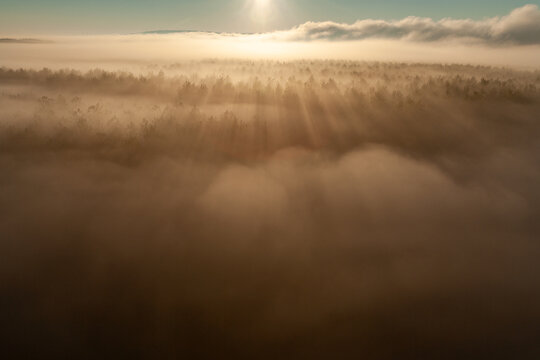Aerial view of a forest emerging from thick morning fog with golden sun rays piercing through the mist in Krcedin, Vojvodina, Serbia.