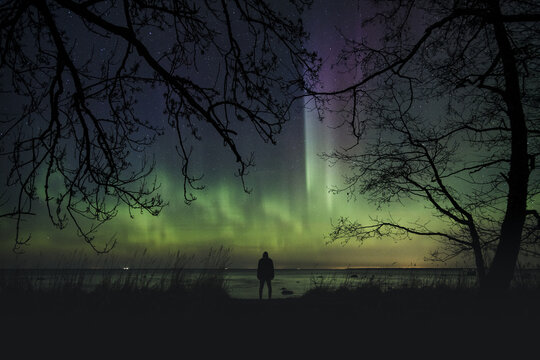 Merikula, Harju maakond, Estonia - 22 March 2026: View of a person standing on the coast at night watching the aurora borealis over the sea, framed by dark tree silhouettes.