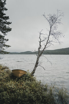 Utsjoki, Lapland, Finland - 25 August 2025: View of a small yellow boat resting on the shore beside a leaning birch tree by a lake with distant hills under an overcast sky.