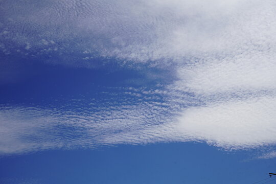 Cirrocumulus clouds: The image shows cirrocumulus clouds, also known as "mackerel sky" clouds. Structure: These clouds appear as thin, white patches or sheets and typically consist of small flakes. 