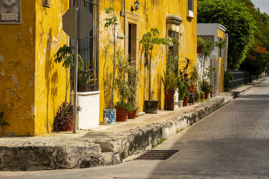 View of a vibrant yellow colonial building adorned with potted plants along a cobblestone street in Izamal, Yucatan, Mexico.