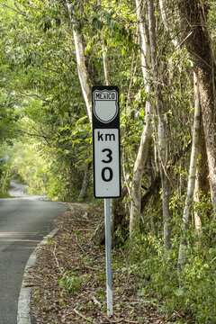 View of a highway marker indicating kilometer 30 along a road winding through the dense tropical forest of the Calakmul Biosphere Reserve in Calakmul, Campeche, Mexico.