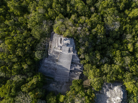Aerial view of the ancient Mayan pyramid of Becan rising above the dense green jungle canopy in Calakmul, Campeche, Mexico.