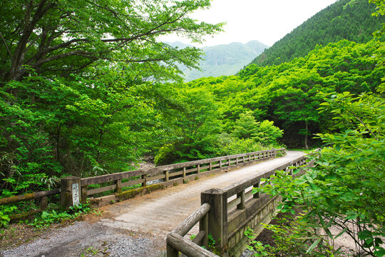 大分県　鳴子川橋