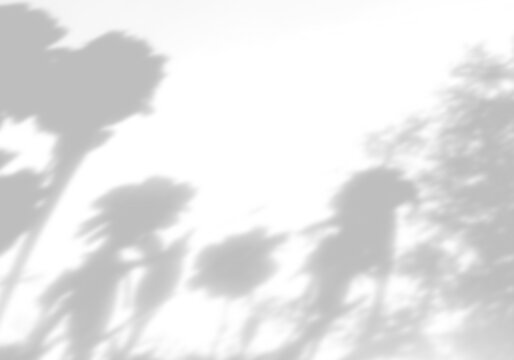 Blurred tree shadows on a white background. Abstract natural texture, minimalist backdrop for design, soft lighting, and a hazy veil effect. Mockup.