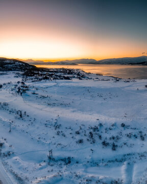 View of reindeer grazing in a snowy landscape during sunset with mountains and a fjord in the background in Tromso, Troms, Norway.