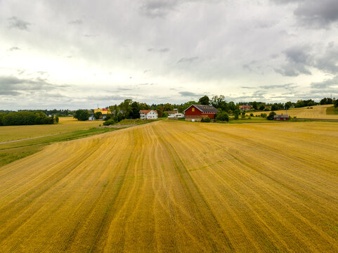 View of a rural landscape with golden wheat fields, a traditional red barn, and houses under a cloudy sky in Norway.