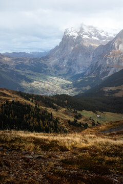 View of Kleine Scheidegg overlooking the Lauterbrunnen valley with snow-capped peaks, alpine meadows, and pine forests under a cloudy sky in Lauterbrunnen, Canton of Bern, Switzerland.