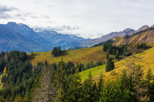 View of the Niesen mountain landscape with lush green meadows, coniferous forests, and rolling hills in Reichenbach im Kandertal, Canton of Bern, Switzerland.