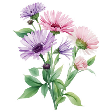 aster flowers art  design aster autumn floers art design 