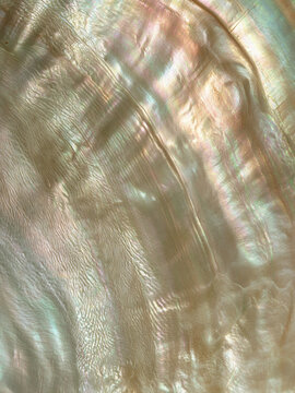 Iridescent Mother of Pearl Shell Texture with Soft Natural Light Abstract Background