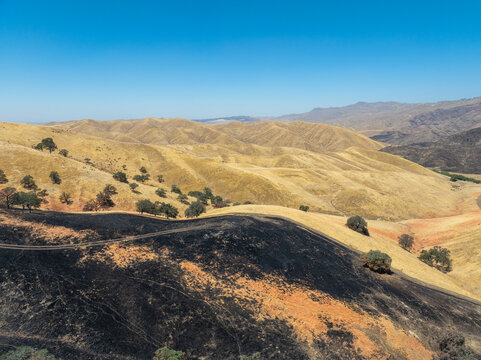 Aerial view of the Caliente Fish Fire burn area showing a stark contrast between scorched black earth and dry golden hills under a clear blue sky in Caliente, CA, United States.