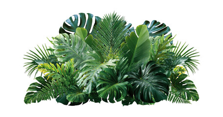 Obraz premium Plant leaves Green nature Tropical forest isolated on transparent background - png