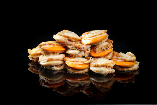 Fresh Qingdao Scallops with Yellow Meat Freshly Shucked on Black Background