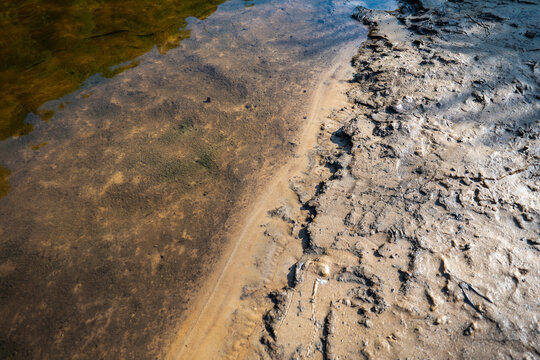 Animal Tracks Cover a Muddy Riverbank Beside Shallow Summer Water