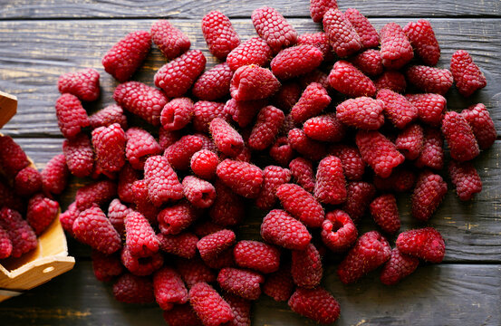 Fresh organic raspberries on wooden table background, food blogging, healthy eating concepts, and seasonal summer harvest themes. Small Farm food	