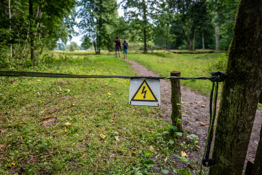 Electric Fence Warning Sign Marks a Woodland Path Near Two Walkers