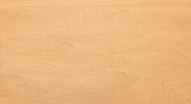 Birch wood light grain natural plywood texture surface