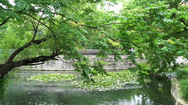 Scenery of Xiaoyao Jin Park, Hefei City, Anhui Province, China
