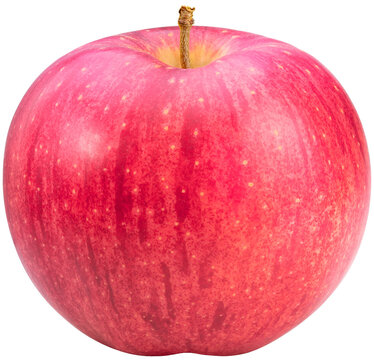 Giant Apple isolated on white background, Big apple on white background,