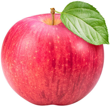 Giant Red Apple with leaf isolated on white background, Big apple on white background,