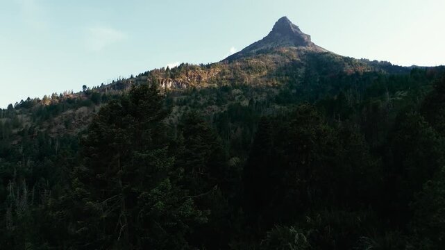 Pine Forests Overlooking Nevado de Colima Volcano In Jalisco, Mexico. Aerial Drone Shot