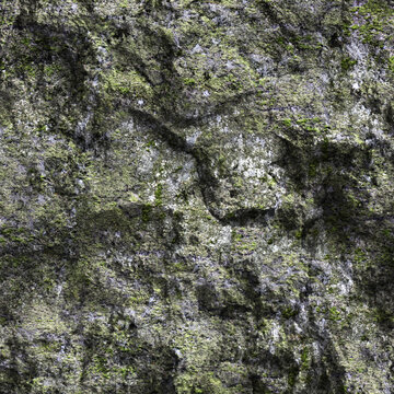 Weathered Moss Covered Rock Cliff Texture with Natural Stone Surface