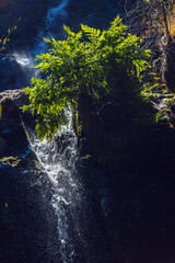 A sparkling waterfall cascades over wet, mossy rocks © wundermann