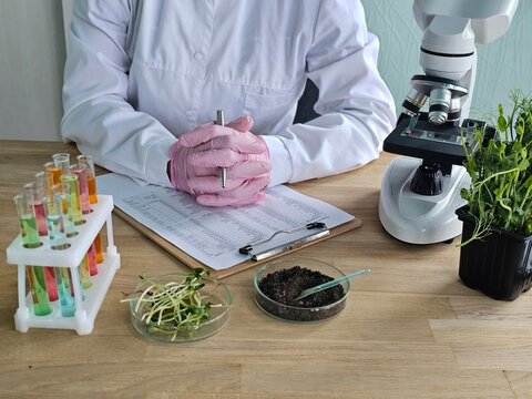 Scientist working at a laboratory table with plants, soil samples, and test tubes