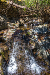 A small stream cascades over rocks in a forested mountain ravine © wundermann