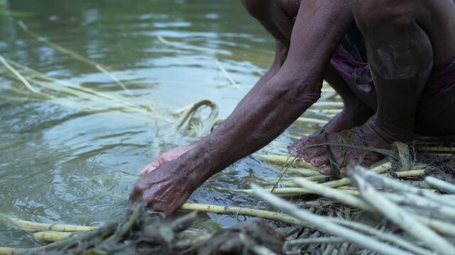 Traditional jute retting and washing process in rural water pond by local farmer close up