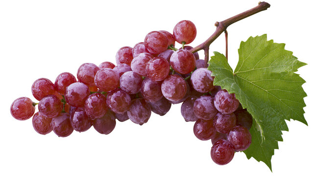 Red globe grapes cluster with green leaf