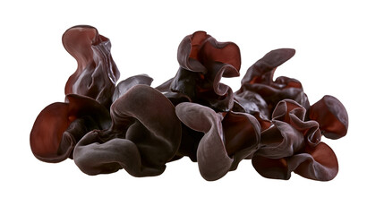 Wood ear mushrooms cluster dark brown gelatinous texture © Thaddeus