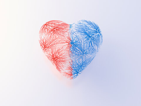 Heart with red and blue veins