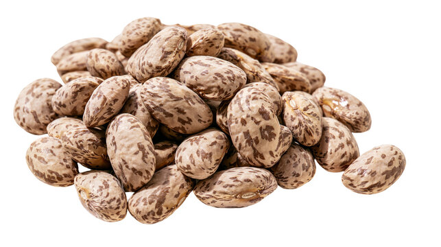 Pile of Pinto Beans