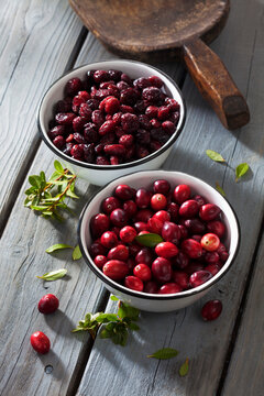 Two bowls of dried and fresh cranberries (Vaccinium macrocarpon) on grey wooden table