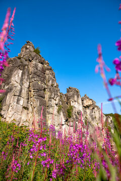 Pink flowers frame the Externsteine rock formation in Germany