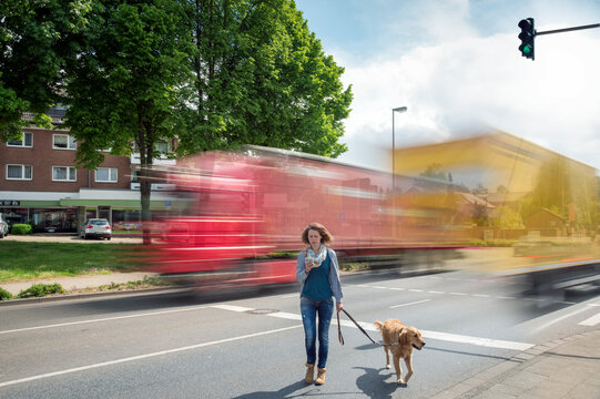 Woman with smartphone and dog crossing a road