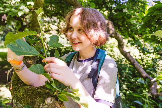Happy girl touches a green leaf in the summer forest