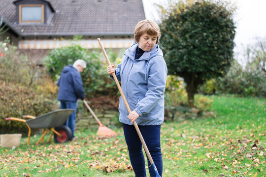 Couple rakes fallen leaves in their home garden during autumn