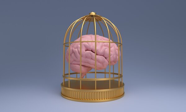 A pink human brain is trapped inside a golden cage