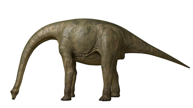 Sauropod dinosaur with long neck and tail, textured skin
