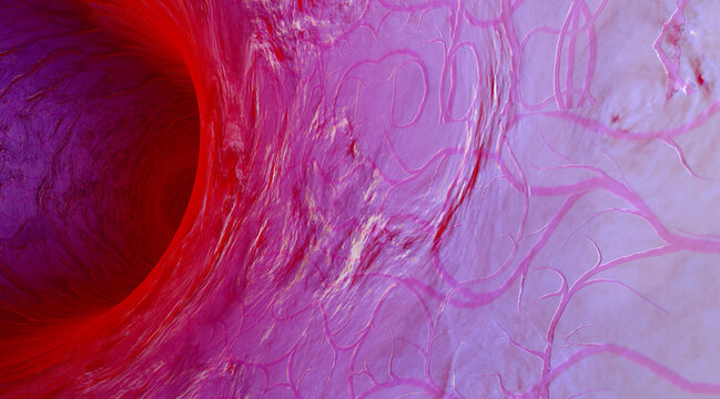 Blood vessel, 3D Rendering