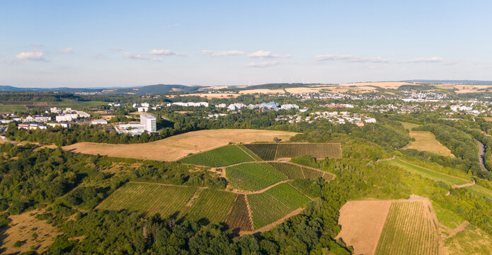 Aerial view of Trier Petrisberg with vineyards, lush greenery, and the university campus in the distance, Trier-Saarburg, Rhineland-Palatinate, Germany.